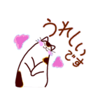和風猫＜毎日使える16＞（個別スタンプ：28）