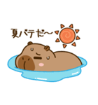 かわいい 太った カピバラ V9 [夏休み]（個別スタンプ：4）