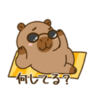 かわいい 太った カピバラ V9 [夏休み]（個別スタンプ：22）