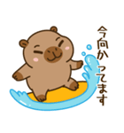 かわいい 太った カピバラ V9 [夏休み]（個別スタンプ：31）