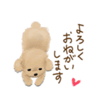 使いやすい♡夏の終わりスタンプ（個別スタンプ：16）
