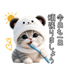 パンダ帽が可愛い猫 キュートな夏 敬語（個別スタンプ：2）