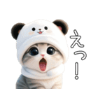 パンダ帽が可愛い猫 キュートな夏 敬語（個別スタンプ：14）
