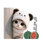 パンダ帽が可愛い猫 キュートな夏 敬語（個別スタンプ：16）