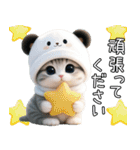 パンダ帽が可愛い猫 キュートな夏 敬語（個別スタンプ：23）