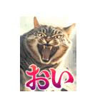 念を押すデカいスタンプ（個別スタンプ：8）