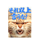 念を押すデカいスタンプ（個別スタンプ：24）