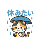 気分屋ねこの日常スタンプ（個別スタンプ：11）