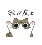 ねこぽっくるキジ白【友達】（個別スタンプ：1）