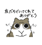ねこぽっくるキジ白【友達】（個別スタンプ：3）