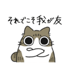 ねこぽっくるキジ白【友達】（個別スタンプ：4）