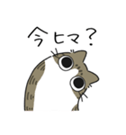 ねこぽっくるキジ白【友達】（個別スタンプ：6）