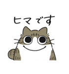 ねこぽっくるキジ白【友達】（個別スタンプ：7）