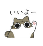ねこぽっくるキジ白【友達】（個別スタンプ：13）