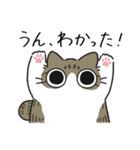 ねこぽっくるキジ白【友達】（個別スタンプ：14）