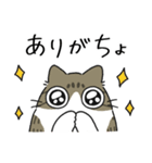 ねこぽっくるキジ白【友達】（個別スタンプ：18）