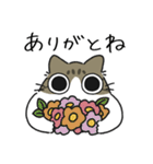 ねこぽっくるキジ白【友達】（個別スタンプ：19）