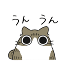 ねこぽっくるキジ白【友達】（個別スタンプ：20）
