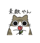 ねこぽっくるキジ白【友達】（個別スタンプ：22）