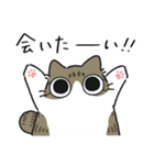 ねこぽっくるキジ白【友達】（個別スタンプ：23）