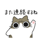 ねこぽっくるキジ白【友達】（個別スタンプ：26）