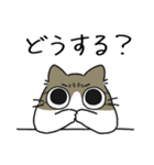 ねこぽっくるキジ白【友達】（個別スタンプ：30）