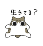 ねこぽっくるキジ白【友達】（個別スタンプ：31）
