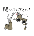 ねこぽっくるキジ白【友達】（個別スタンプ：34）
