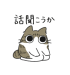 ねこぽっくるキジ白【友達】（個別スタンプ：35）