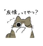 ねこぽっくるキジ白【友達】（個別スタンプ：36）