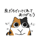 ねこぽっくる三毛【友達】（個別スタンプ：3）