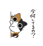 ねこぽっくる三毛【友達】（個別スタンプ：5）