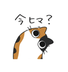 ねこぽっくる三毛【友達】（個別スタンプ：6）