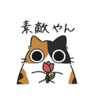 ねこぽっくる三毛【友達】（個別スタンプ：22）