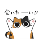 ねこぽっくる三毛【友達】（個別スタンプ：23）