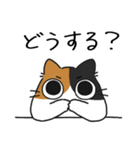 ねこぽっくる三毛【友達】（個別スタンプ：30）