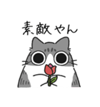 ねこぽっくるサバ白【友達】（個別スタンプ：22）