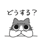 ねこぽっくるサバ白【友達】（個別スタンプ：30）