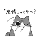 ねこぽっくるサバ白【友達】（個別スタンプ：36）