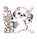シーズー犬 「毎日よく使う言葉」（個別スタンプ：2）