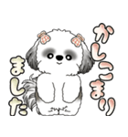 シーズー犬 「毎日よく使う言葉」（個別スタンプ：3）