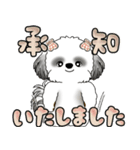 シーズー犬 「毎日よく使う言葉」（個別スタンプ：4）