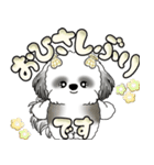 シーズー犬 「毎日よく使う言葉」（個別スタンプ：5）