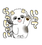 シーズー犬 「毎日よく使う言葉」（個別スタンプ：6）