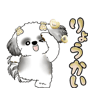 シーズー犬 「毎日よく使う言葉」（個別スタンプ：8）