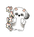 シーズー犬 「毎日よく使う言葉」（個別スタンプ：9）