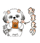 シーズー犬 「毎日よく使う言葉」（個別スタンプ：10）