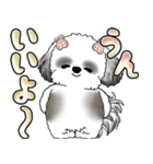 シーズー犬 「毎日よく使う言葉」（個別スタンプ：12）