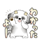 シーズー犬 「毎日よく使う言葉」（個別スタンプ：16）