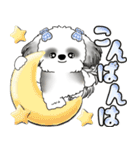 シーズー犬 「毎日よく使う言葉」（個別スタンプ：17）